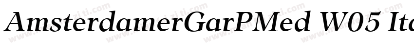 AmsterdamerGarPMed W05 Italic字体转换